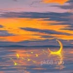 Avatar of Amna Haider